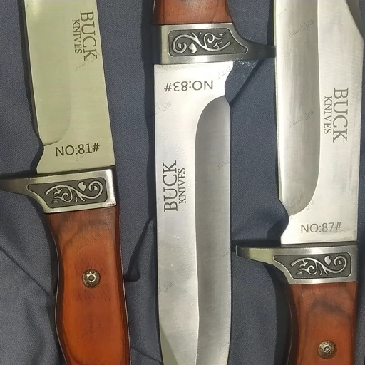 شکاری باک