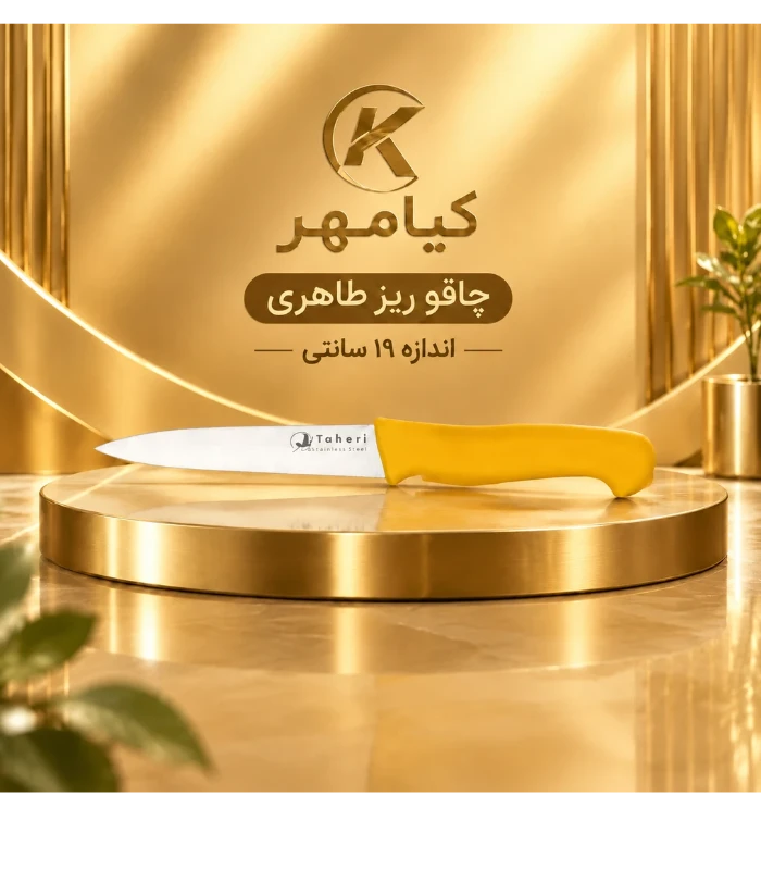 ریز
